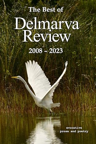 delmara review